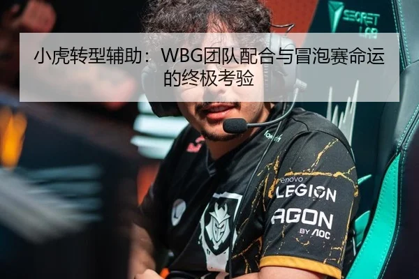 小虎转型辅助：WBG团队配合与冒泡赛命运的终极考验