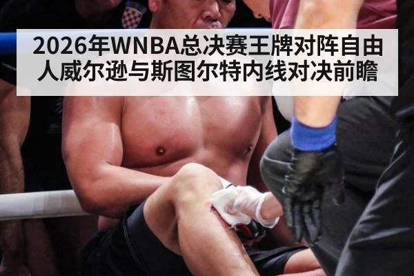 2026年WNBA总决赛王牌对阵自由人威尔逊与斯图尔特内线对决前瞻